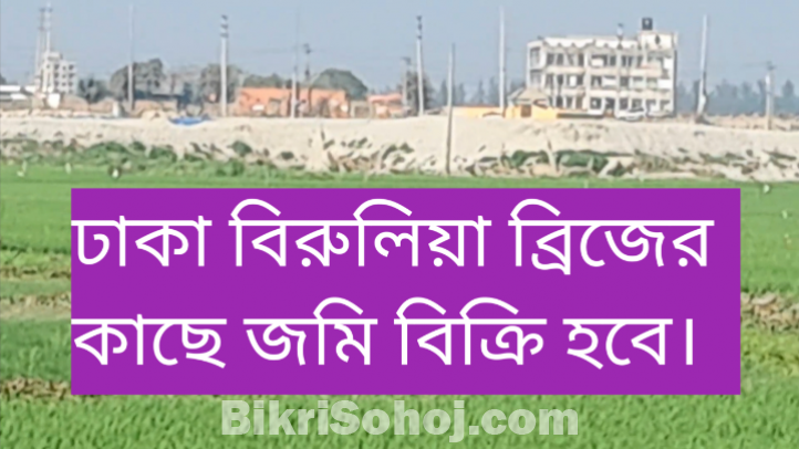 ঢাকা জেলার বিরুলিয়া ব্রিজ এর কাছে জমি  বিক্রি হবে ।